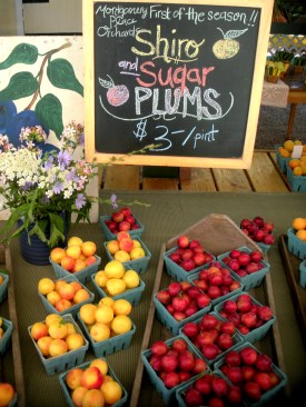 Montgomery Place Orchards' plums