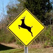 deer-crossing