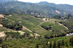 Jericho Canyon (and Winery)
