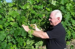 Anthony Road Co-owner John Martini