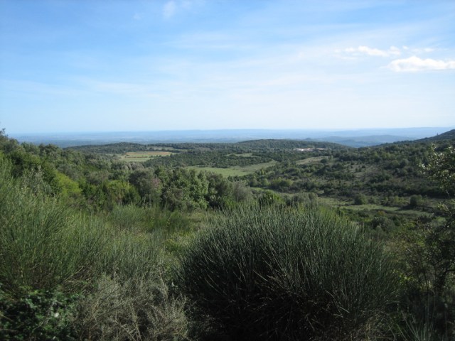 Languedoc "Garrigue"