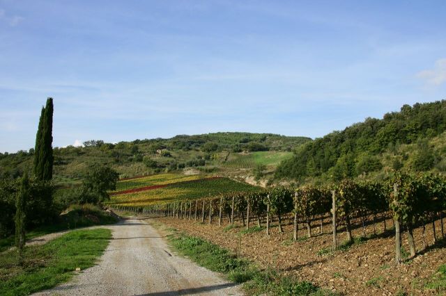 Montecucco DOCG