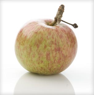 apple_portrait_dabinett